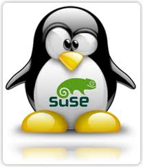 suse-linux-tux-open-source-easypos-software-opensuse-grub2-plymouth-unix-infrastructuur